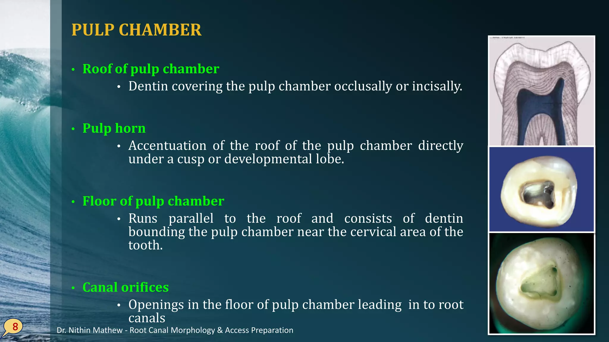 PULP CHAMBER
• Roof of pulp chamber
• Dentin covering the pulp chamber occlusally or incisally.
• Pulp horn
• Accentuation of the roof of the pulp chamber directly
under a cusp or developmental lobe.
• Floor of pulp chamber
• Runs parallel to the roof and consists of dentin
bounding the pulp chamber near the cervical area of the
tooth.
• Canal orifices
• Openings in the floor of pulp chamber leading in to root
canals
8 Dr. Nithin Mathew - Root Canal Morphology & Access Preparation
 