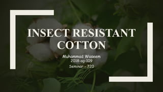 INSECT RESISTANT
COTTON
Muhammad Waseem
2018-ag-109
Seminar - 720
 