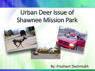 Urban Deer Issue of  Shawnee Mission Park By: Prashant Deshmukh 