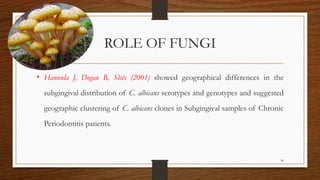 ROLE OF FUNGI
• Hannula J, Dogan B, Slots (2001) showed geographical differences in the
subgingival distribution of C. albicans serotypes and genotypes and suggested
geographic clustering of C. albicans clones in Subgingival samples of Chronic
Periodontitis patients.
36
 