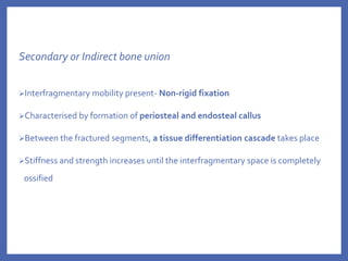 Secondary or Indirect bone union
Interfragmentary mobility present- Non-rigid fixation
Characterised by formation of periosteal and endosteal callus
Between the fractured segments, a tissue differentiation cascade takes place
Stiffness and strength increases until the interfragmentary space is completely
ossified
 