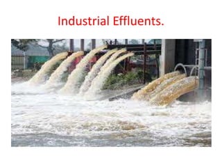 Industrial Effluents.
 