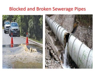 Blocked and Broken Sewerage Pipes
 