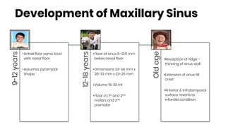 Development of Maxillary Sinus9-12years
•Antral floor same level
with nasal floor
•Assumes pyramidal
shape
12-18years
•Floor of sinus 5–12.5 mm
below nasal floor
•Dimensions 32-34 mm x
28-33 mm x 23-25 mm
•Volume 15-20 ml
•Floor i.r.t 1st and 2nd
molars and 2nd
premolar
Oldage
•Resorption of ridge –
thinning of sinus wall
•Extension of sinus till
crest
•Anterior & infratemporal
surface reverts to
infantile condition
 
