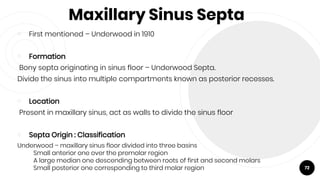 Maxillary Sinus Septa
￮ First mentioned – Underwood in 1910
￮ Formation
Bony septa originating in sinus floor – Underwood Septa.
Divide the sinus into multiple compartments known as posterior recesses.
￮ Location
Present in maxillary sinus, act as walls to divide the sinus floor
￮ Septa Origin : Classification
Underwood – maxillary sinus floor divided into three basins
Small anterior one over the premolar region
A large median one descending between roots of first and second molars
Small posterior one corresponding to third molar region 72
 