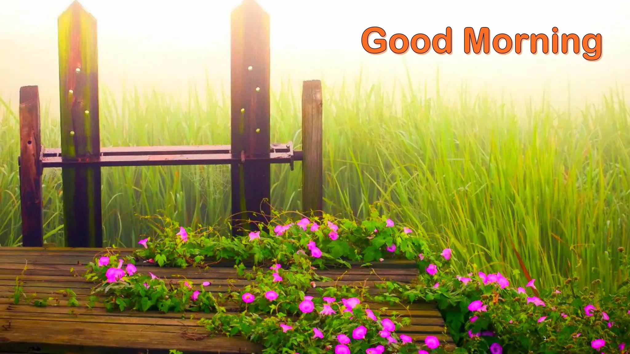 Rotary Instruments in Operative Dentistry PPT