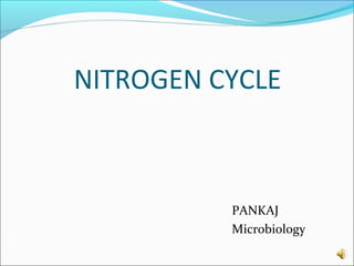 NITROGEN CYCLE

PANKAJ
Microbiology

 