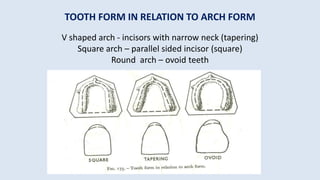 SEMINAR 9 TEETH SELECTION.pptx