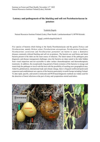 Seminar on Forest and Plant Health, November 11th
2022
Natural Resources Institute Finland (Luke), Helsinki
Latency and pa...