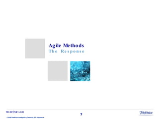 Agile Methods  The Response 