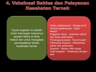 Waktu pelaksanaan : Minggu ke-6 
Tempat pelaksanaan : Desa 
Maduri 
Anggaran biaya : -(bantuan vaksin 
dari dinas peternakan 
Penanggung jawab : Nurul Inayah 
Pelaksana program : Mahasiswa, 
dokter dan paramedic 
Sasaran : Hewan milik warga 
Hasil kegiatan : Terlaksana dengan 
baik 
Tujuan kegiatan ini adalah 
untuk mencegah masuknya 
peyakit rabies di desa 
maduri dan untuk mengatasi 
permasalahan terkait 
kesehatan ternak 
 