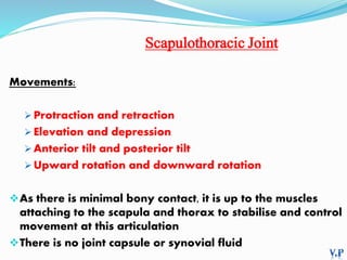 Anatomy of shoulder joint | PPTX