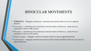 Inward Rotation Of Eye SEMINAR ANKUR NIGAM NEW presents extraocular muscle and motility | PPTX