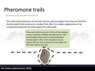 Ant Colony Optimization (ACO)
Pheromone trails
Shortest path around an obstacle
This elementary behavior of real ants can be used to explain how they can find the
shortest path that reconnects a broken line after the sudden appearance of an
unexpected obstacle has interrupted the initial path.
Those ants which are just in front of the obstacle
cannot continue to follow the pheromone trail
and therefore they have to choose between
turning right or left. In this situation we can
expect half the ants to choose to turn right and
the other half to turn left.
 