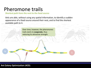 Ant Colony Optimization (ACO)
Pheromone trails
Shortest path from the nest to the food source
Over time, however, the pheromones
trails starts to evaporate, thus
reducing its attractive strength.
S
N
Ants are able, without using any spatial Information, to identify a sudden
appearance of a food source around their nest, and to find the shortest
available path to it.
 