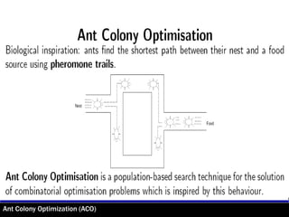 Ant Colony Optimization (ACO)
 