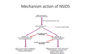 Mechanism action of NSIDS
 