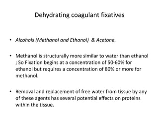 Dehydrating coagulant fixatives
• Alcohols (Methanol and Ethanol) & Acetone.
• Methanol is structurally more similar to water than ethanol
; So Fixation begins at a concentration of 50-60% for
ethanol but requires a concentration of 80% or more for
methanol.
• Removal and replacement of free water from tissue by any
of these agents has several potential effects on proteins
within the tissue.
 
