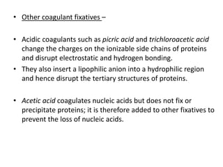 • Other coagulant fixatives –
• Acidic coagulants such as picric acid and trichloroacetic acid
change the charges on the ionizable side chains of proteins
and disrupt electrostatic and hydrogen bonding.
• They also insert a lipophilic anion into a hydrophilic region
and hence disrupt the tertiary structures of proteins.
• Acetic acid coagulates nucleic acids but does not fix or
precipitate proteins; it is therefore added to other fixatives to
prevent the loss of nucleic acids.
 