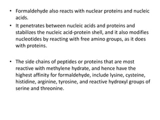 • Formaldehyde also reacts with nuclear proteins and nucleic
acids.
• It penetrates between nucleic acids and proteins and
stabilizes the nucleic acid-protein shell, and it also modifies
nucleotides by reacting with free amino groups, as it does
with proteins.
• The side chains of peptides or proteins that are most
reactive with methylene hydrate, and hence have the
highest affinity for formaldehyde, include lysine, cysteine,
histidine, arginine, tyrosine, and reactive hydroxyl groups of
serine and threonine.
 