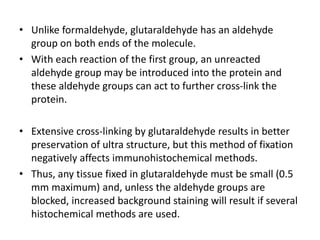 • Unlike formaldehyde, glutaraldehyde has an aldehyde
group on both ends of the molecule.
• With each reaction of the first group, an unreacted
aldehyde group may be introduced into the protein and
these aldehyde groups can act to further cross-link the
protein.
• Extensive cross-linking by glutaraldehyde results in better
preservation of ultra structure, but this method of fixation
negatively affects immunohistochemical methods.
• Thus, any tissue fixed in glutaraldehyde must be small (0.5
mm maximum) and, unless the aldehyde groups are
blocked, increased background staining will result if several
histochemical methods are used.
 