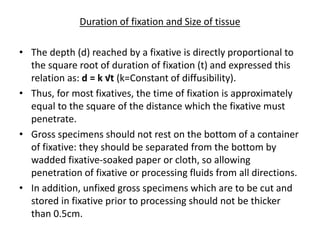 Duration of fixation and Size of tissue
• The depth (d) reached by a fixative is directly proportional to
the square root of duration of fixation (t) and expressed this
relation as: d = k √t (k=Constant of diffusibility).
• Thus, for most fixatives, the time of fixation is approximately
equal to the square of the distance which the fixative must
penetrate.
• Gross specimens should not rest on the bottom of a container
of fixative: they should be separated from the bottom by
wadded fixative-soaked paper or cloth, so allowing
penetration of fixative or processing fluids from all directions.
• In addition, unfixed gross specimens which are to be cut and
stored in fixative prior to processing should not be thicker
than 0.5cm.
 