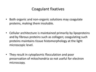 Coagulant fixatives
• Both organic and non-organic solutions may coagulate
proteins, making them insoluble.
• Cellular architecture is maintained primarily by lipoproteins
and by fibrous proteins such as collagen; coagulating such
proteins maintains tissue histomorphology at the light
microscopic level.
• They result in cytoplasmic flocculation and poor
preservation of mitochondria so not useful for electron
microscopy.
 