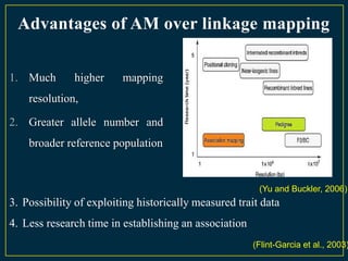 Advantages of AM over linkage mapping


1. Much       higher     mapping
    resolution,

2. Greater allele number and
    broader reference population


                                                        (Yu and Buckler, 2006)
3. Possibility of exploiting historically measured trait data
4. Less research time in establishing an association
                                                       (Flint-Garcia et al., 2003)
 