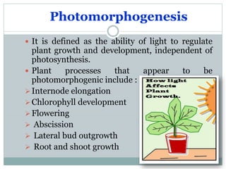 Photomorphogenesis
 It is defined as the ability of light to regulate

plant growth and development, independent of
photosynthesis.
 Plant
processes
that
appear
to
be
photomorphogenic include :
 Internode elongation
 Chlorophyll development
 Flowering
 Abscission
 Lateral bud outgrowth
 Root and shoot growth

 
