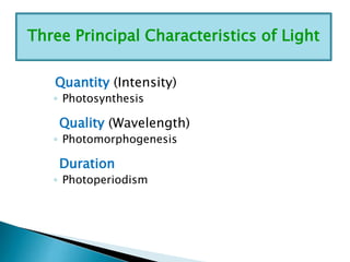 Three Principal Characteristics of Light
Quantity (Intensity)
◦ Photosynthesis

Quality (Wavelength)
◦ Photomorphogenesis

Duration
◦ Photoperiodism

 