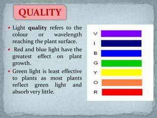 QUALITY
 Light quality refers to the

colour
or
wavelength
reaching the plant surface.
 Red and blue light have the
greatest effect on plant
growth.
 Green light is least effective
to plants as most plants
reflect green light and
absorb very little.

 