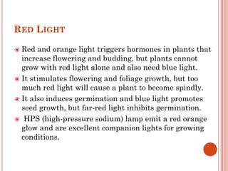 RED LIGHT
Red and orange light triggers hormones in plants that
increase flowering and budding, but plants cannot
grow with red light alone and also need blue light.
 It stimulates flowering and foliage growth, but too
much red light will cause a plant to become spindly.
 It also induces germination and blue light promotes
seed growth, but far-red light inhibits germination.
 HPS (high-pressure sodium) lamp emit a red orange
glow and are excellent companion lights for growing
conditions.


 