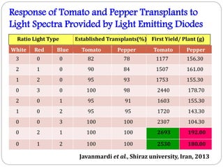 Response of Tomato and Pepper Transplants to
Light Spectra Provided by Light Emitting Diodes
Ratio Light Type
White

Red

3

0

2

Established Transplants(%) First Yield/ Plant (g)

Blue

Tomato

Pepper

Tomato

Pepper

0

82

78

1177

156.30

1

0

90

84

1507

161.00

1

2

0

95

93

1753

155.30

0

3

0

100

98

2440

178.70

2

0

1

95

91

1603

155.30

1

0

2

95

95

1720

143.30

0

0

3

100

100

2307

104.30

0

2

1

100

100

2693

192.00

0

1

2

100

100

2530

180.00

Javanmardi et al., Shiraz university, Iran, 2013

 