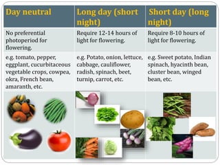Day neutral

Long day (short
night)

Short day (long
night)

No preferential
photoperiod for
flowering.

Require 12-14 hours of
light for flowering.

Require 8-10 hours of
light for flowering.

e.g. tomato, pepper,
eggplant, cucurbitaceous
vegetable crops, cowpea,
okra, French bean,
amaranth, etc.

e.g. Potato, onion, lettuce,
cabbage, cauliflower,
radish, spinach, beet,
turnip, carrot, etc.

e.g. Sweet potato, Indian
spinach, hyacinth bean,
cluster bean, winged
bean, etc.

 