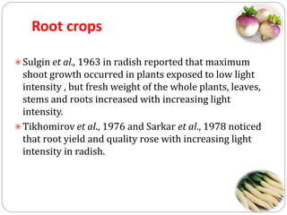 Root crops
 Sulgin et al., 1963 in radish reported that maximum

shoot growth occurred in plants exposed to low light
intensity , but fresh weight of the whole plants, leaves,
stems and roots increased with increasing light
intensity.
 Tikhomirov et al., 1976 and Sarkar et al., 1978 noticed
that root yield and quality rose with increasing light
intensity in radish.

 