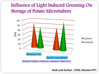 Influence of Light Induced Greening On
Storage of Potato Microtubers
60
50

(%)

40

30
Control
Greened

20
10
0

Biomass loss
Sprout emergence
MICROTUBER STORAGE CHARACTERISTICS

Naik and Sarkar , CPRI, Shimla1997

 