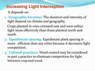 Increasing Light Interception
It depends on:
1. Geographic location: The duration and intensity of
light depend on climate and geography.
Crops planted in rows oriented east and west utilize
light more effectively than those planted north and
south.
2. Equidistant spacing: Equidistant plant spacing is
more efficient than any other because it decreases light
competition.
3. Cultural practices: Weed control may be considered
in part a practice to eliminate competition for light
between crop and weed.

 