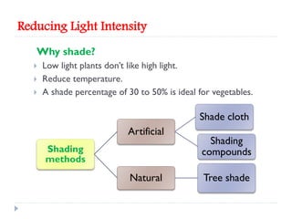 Reducing Light Intensity
Why shade?




Low light plants don’t like high light.
Reduce temperature.
A shade percentage of 30 to 50% is ideal for vegetables.

Shade cloth
Artificial
Shading
methods

Natural

Shading
compounds
Tree shade

 