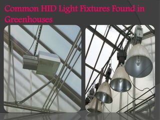 Common HID Light Fixtures Found in
Greenhouses

 