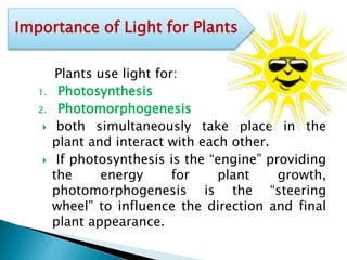 Importance of Light for Plants

1.
2.




Plants use light for:
Photosynthesis
Photomorphogenesis
both simultaneously take place in the
plant and interact with each other.
If photosynthesis is the “engine” providing
the
energy
for
plant
growth,
photomorphogenesis is the “steering
wheel” to influence the direction and final
plant appearance.

 