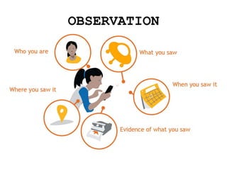 OBSERVATION
 