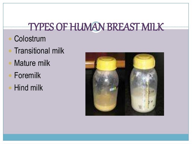 breast milk types