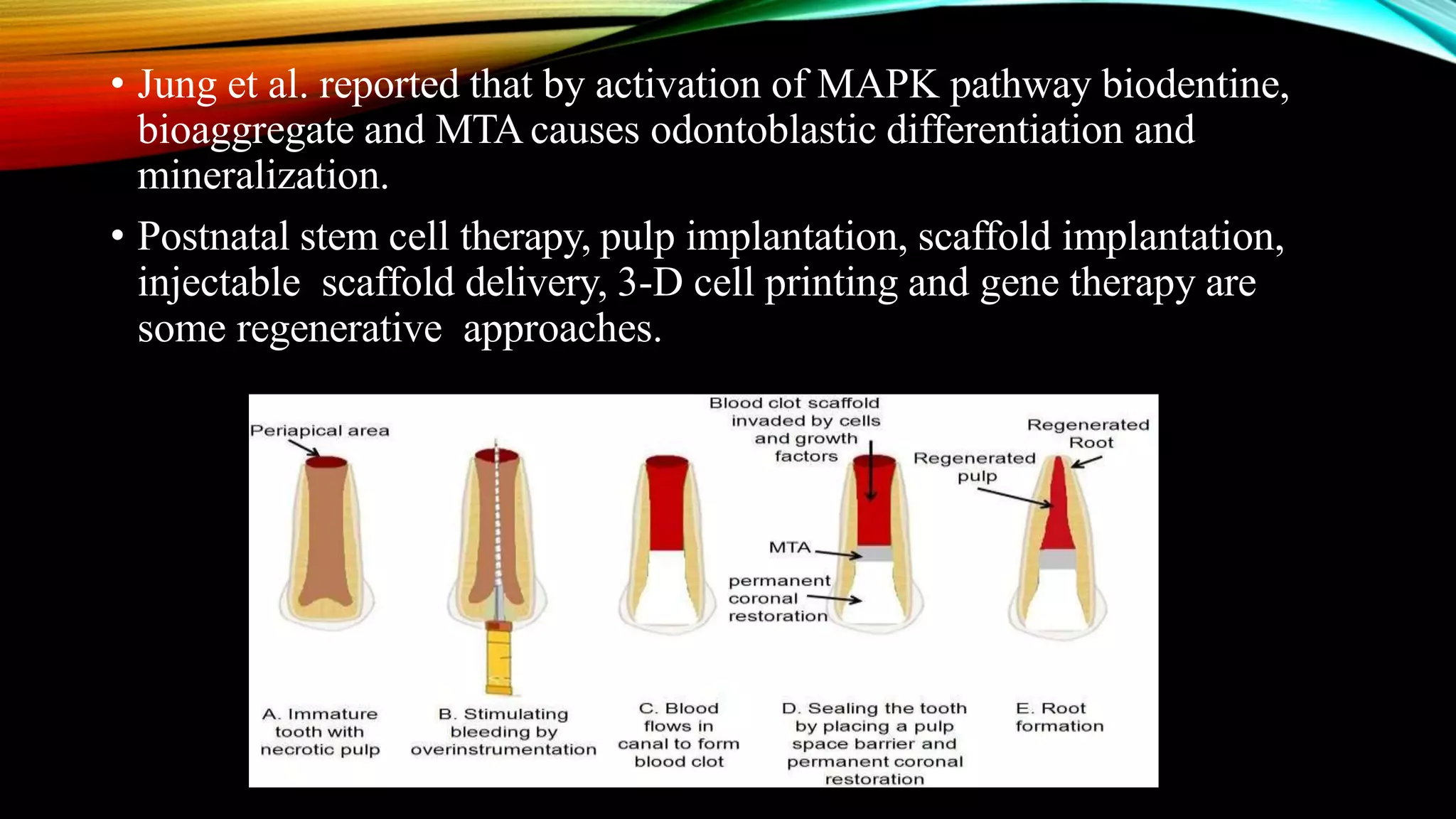 BIOMIMETIC RESTORATIVE MATERIAL | PPTX