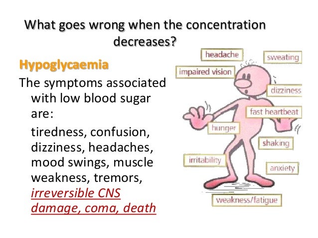 Seminar Blood Glucose Regulation
