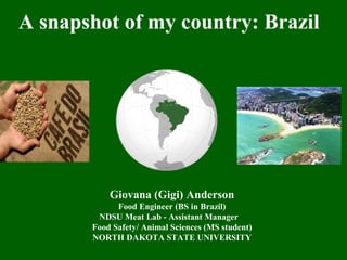 Giovana (Gigi) Anderson
Food Engineer (BS in Brazil)
NDSU Meat Lab - Assistant Manager
Food Safety/ Animal Sciences (MS student)
NORTH DAKOTA STATE UNIVERSITY
A snapshot of my country: Brazil
 