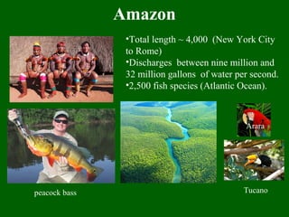 Amazon
•Total length ~ 4,000 (New York City
to Rome)
•Discharges between nine million and
32 million gallons of water per second.
•2,500 fish species (Atlantic Ocean).
peacock bass Tucano
Arara
 