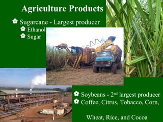  Soybeans - 2nd
largest producer
 Coffee, Citrus, Tobacco, Corn,
Wheat, Rice, and Cocoa
Agriculture Products
 Sugarcane - Largest producer
 Ethanol
 Sugar
 