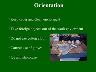 Orientation
Keep order and clean enviorment
Take foreign objects out of the work enviorment
Do not use cotton cloth
Correct use of gloves
Ice and showcase
 
