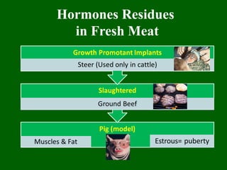 Hormones Residues
in Fresh Meat
 