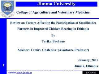 Jimma University
Website: www.ju.edu.et JUCAVM
College of Agriculture and Veterinary Medicine
Review on Factors Affecting the Participation of Smallholder
Farmers in Improved Chicken Rearing in Ethiopia
By
Tariku Bachano
Advisor: Tamiru Chalchisa (Assistance Professor)
January, 2021
Jimma, Ethiopia
1
 